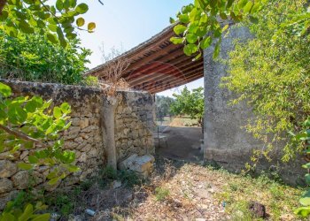 Giardino - Terreno agricolo Via per Canicattini
 
38, Canicattini Bagni - foto 16