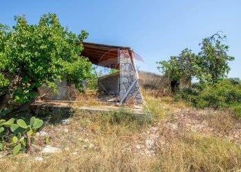 Giardino - Terreno agricolo Via per Canicattini
 
38, Canicattini Bagni - foto 17