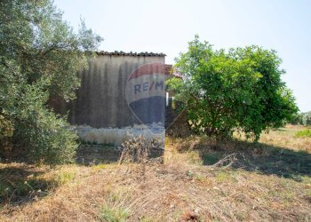 Giardino - Terreno agricolo Via per Canicattini
 
38, Canicattini Bagni - foto 19