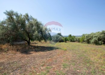 Giardino - Terreno agricolo Via per Canicattini
 
38, Canicattini Bagni - foto 21