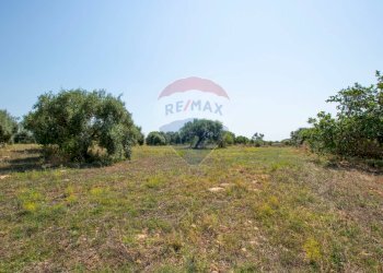 Giardino - Terreno agricolo Via per Canicattini
 
38, Canicattini Bagni - foto 22