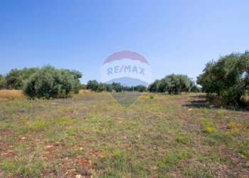 Giardino - Terreno agricolo Via per Canicattini
 
38, Canicattini Bagni - foto 23