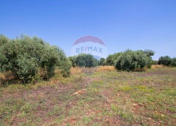 Giardino - Terreno agricolo Via per Canicattini
 
38, Canicattini Bagni - foto 24