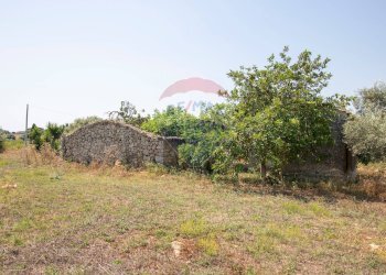 Giardino - Terreno agricolo Via per Canicattini
 
38, Canicattini Bagni - foto 25