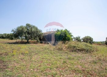 Giardino - Terreno agricolo Via per Canicattini
 
38, Canicattini Bagni - foto 27