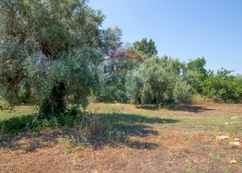 Giardino - Terreno agricolo Via per Canicattini
 
38, Canicattini Bagni - foto 29