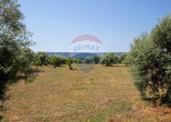 Giardino - Terreno agricolo Via per Canicattini
 
38, Canicattini Bagni - foto 35
