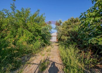 Giardino - Villa VIA DIOMEDE, Siracusa - foto 6