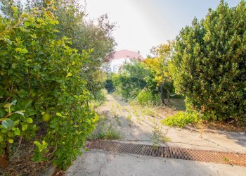 Giardino - Villa VIA DIOMEDE, Siracusa - foto 27