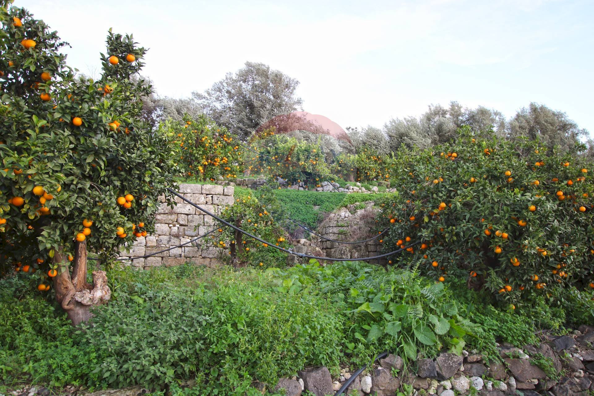Giardino - Agricultural land CONTRADA LUOGO MONACO, Augusta - photo 1