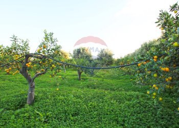 Giardino - Terreno agricolo CONTRADA LUOGO MONACO, Augusta - foto 4