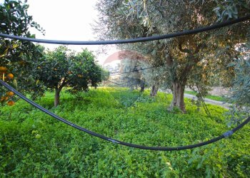 Giardino - Terreno agricolo CONTRADA LUOGO MONACO, Augusta - foto 8