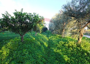 Giardino - Terreno agricolo CONTRADA LUOGO MONACO, Augusta - foto 9