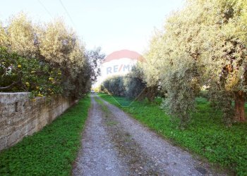 Giardino - Terreno agricolo CONTRADA LUOGO MONACO, Augusta - foto 11