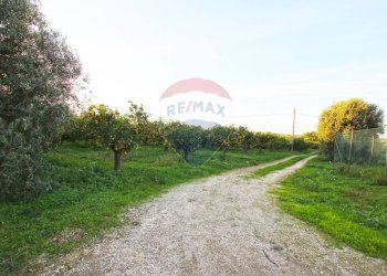 Giardino - Terreno agricolo CONTRADA LUOGO MONACO, Augusta - foto 12