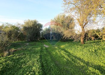 Giardino - Terreno agricolo CONTRADA LUOGO MONACO, Augusta - foto 19