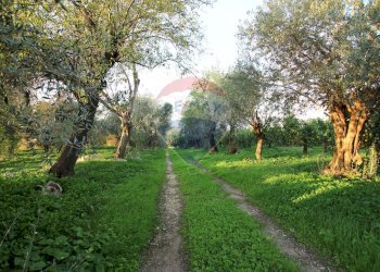 Giardino - Terreno agricolo CONTRADA LUOGO MONACO, Augusta - foto 20
