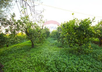 Giardino - Terreno agricolo CONTRADA LUOGO MONACO, Augusta - foto 21