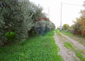 Giardino - Terreno agricolo CONTRADA LUOGO MONACO, Augusta - foto 25