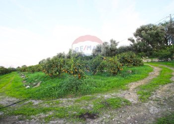 Giardino - Terreno agricolo CONTRADA LUOGO MONACO, Augusta - foto 28