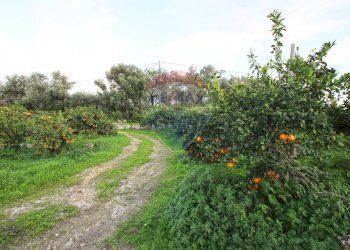 Giardino - Terreno agricolo CONTRADA LUOGO MONACO, Augusta - foto 29