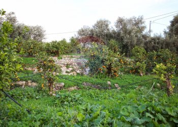 Giardino - Terreno agricolo CONTRADA LUOGO MONACO, Augusta - foto 30