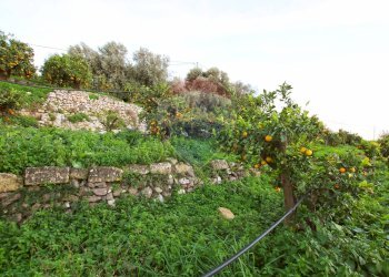 Giardino - Terreno agricolo CONTRADA LUOGO MONACO, Augusta - foto 32