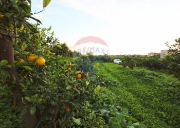 Giardino - Terreno agricolo CONTRADA LUOGO MONACO, Augusta - foto 33