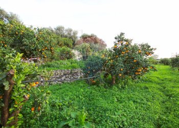 Giardino - Terreno agricolo CONTRADA LUOGO MONACO, Augusta - foto 34
