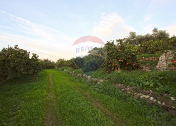 Giardino - Terreno agricolo CONTRADA LUOGO MONACO, Augusta - foto 39