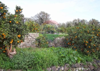 Giardino - Terreno agricolo CONTRADA LUOGO MONACO, Augusta - foto 1