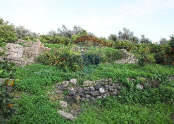 Giardino - Terreno agricolo CONTRADA LUOGO MONACO, Augusta - foto 45