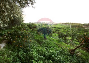 Giardino - Terreno agricolo CONTRADA LUOGO MONACO, Augusta - foto 53