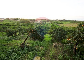 Giardino - Terreno agricolo CONTRADA LUOGO MONACO, Augusta - foto 54