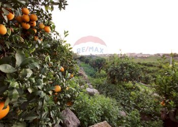 Giardino - Terreno agricolo CONTRADA LUOGO MONACO, Augusta - foto 55