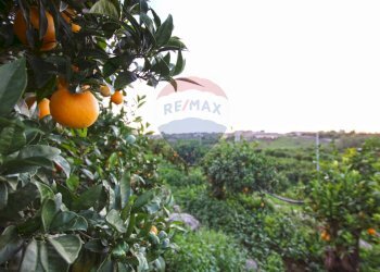 Giardino - Terreno agricolo CONTRADA LUOGO MONACO, Augusta - foto 56