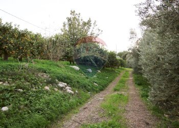 Giardino - Terreno agricolo CONTRADA LUOGO MONACO, Augusta - foto 58