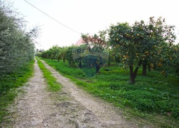 Giardino - Terreno agricolo CONTRADA LUOGO MONACO, Augusta - foto 59