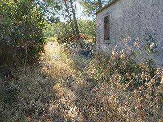 Giardino - Rustic Contrada Conventazzo
 
snc, Vizzini - photo 2