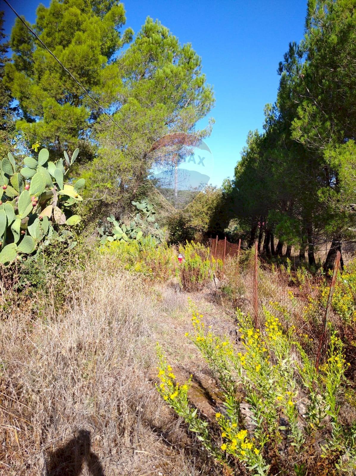 Giardino - Rustic Contrada Conventazzo
 
snc, Vizzini - photo 3