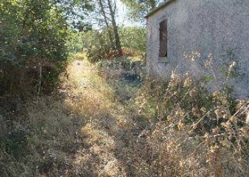 Giardino - Rustico Contrada Conventazzo
 
snc, Vizzini - foto 2