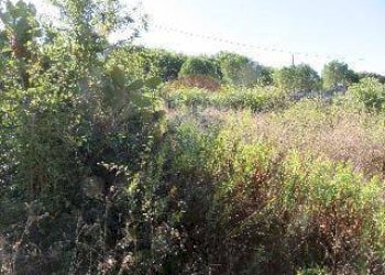 Non correlato - Rustico Contrada Conventazzo
 
snc, Vizzini - foto 6