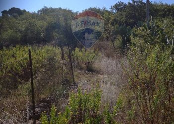 Vista delle montagne - Rustico Contrada Conventazzo
 
snc, Vizzini - foto 11