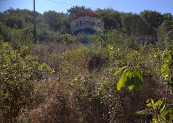 Vista delle montagne - Rustico Contrada Conventazzo
 
snc, Vizzini - foto 14