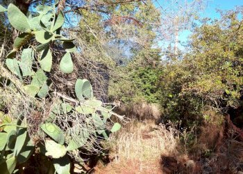 Giardino - Rustico Contrada Conventazzo
 
snc, Vizzini - foto 17