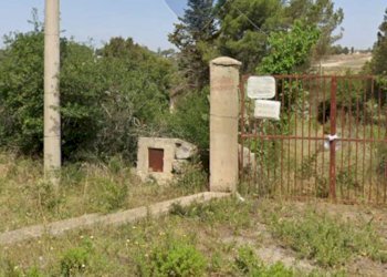 Giardino - Rustico Contrada Conventazzo
 
snc, Vizzini - foto 18