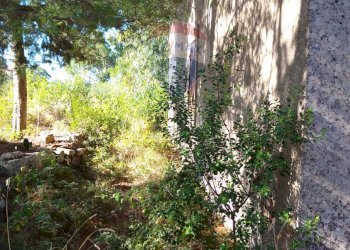 Giardino - Rustico Contrada Conventazzo
 
snc, Vizzini - foto 19