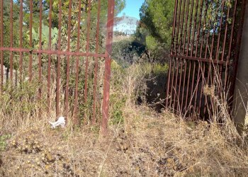 Giardino - Rustico Contrada Conventazzo
 
snc, Vizzini - foto 20