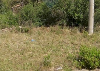 Giardino - Rustico Contrada Conventazzo
 
snc, Vizzini - foto 21