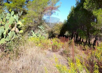 Giardino - Rustico Contrada Conventazzo
 
snc, Vizzini - foto 22